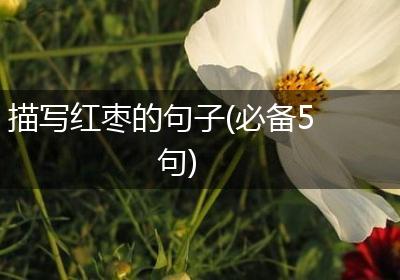 描写红枣的句子(必备5句)