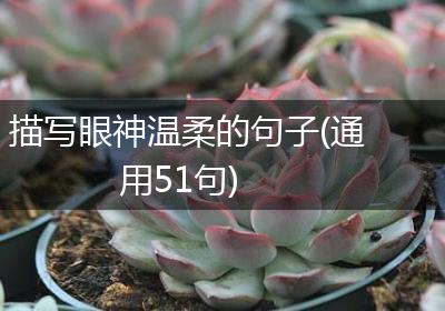 描写眼神温柔的句子(通用51句)