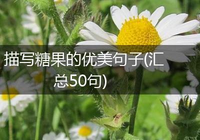描写糖果的优美句子(汇总50句)