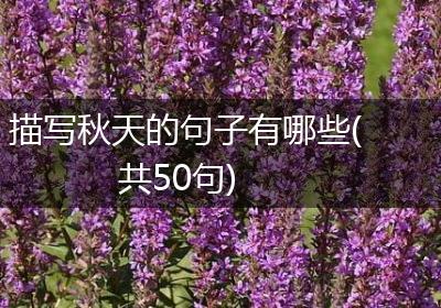 描写秋天的句子有哪些(共50句)