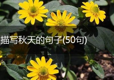 描写秋天的句子(50句)