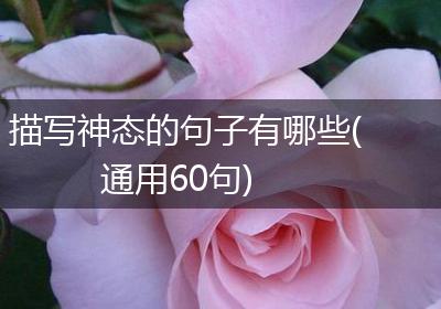 描写神态的句子有哪些(通用60句)