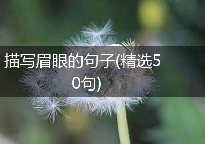描写眉眼的句子(精选50句)