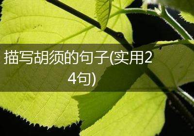 描写胡须的句子(实用24句)