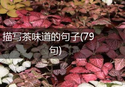 描写茶味道的句子(79句)