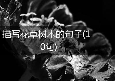 描写花草树木的句子(10句)