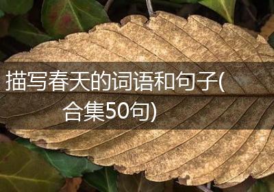 描写春天的词语和句子(合集50句)