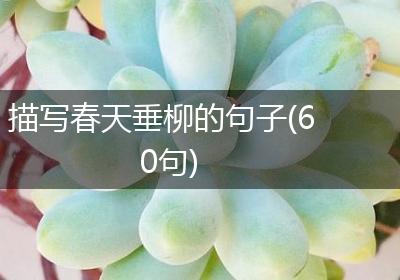 描写春天垂柳的句子(60句)