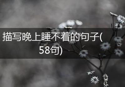 描写晚上睡不着的句子(58句)