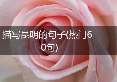 描写昆明的句子(热门60句)