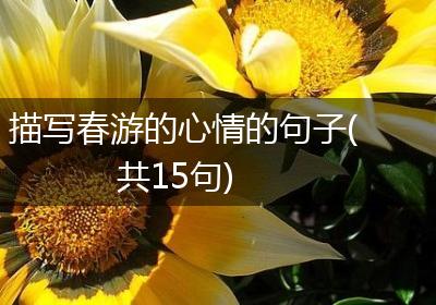 描写春游的心情的句子(共15句)