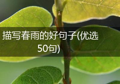 描写春雨的好句子(优选50句)