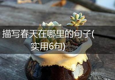 描写春天在哪里的句子(实用6句)