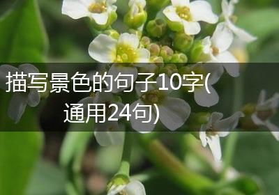 描写景色的句子10字(通用24句)