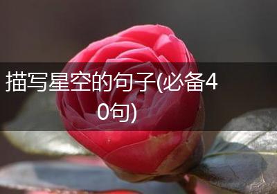 描写星空的句子(必备40句)