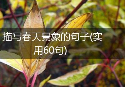 描写春天景象的句子(实用60句)