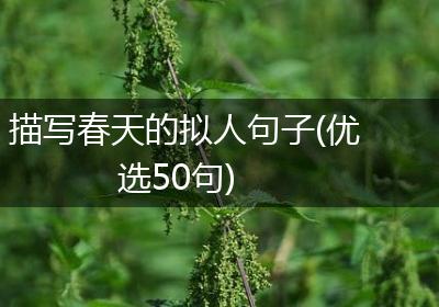 描写春天的拟人句子(优选50句)