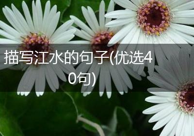 描写江水的句子(优选40句)
