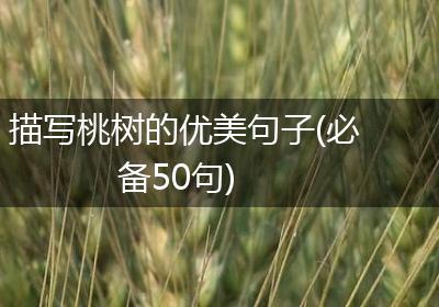 描写桃树的优美句子(必备50句)
