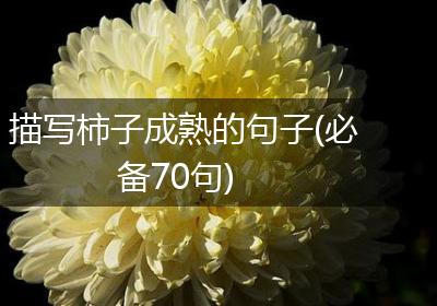 描写柿子成熟的句子(必备70句)