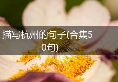描写杭州的句子(合集50句)