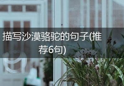 描写沙漠骆驼的句子(推荐6句)
