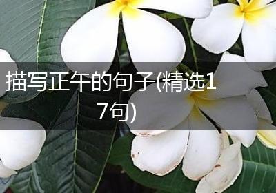 描写正午的句子(精选17句)