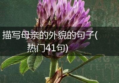 描写母亲的外貌的句子(热门41句)
