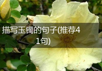 描写玉镯的句子(推荐41句)