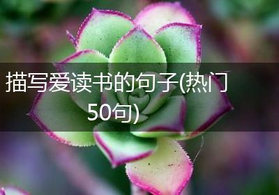 描写爱读书的句子(热门50句)