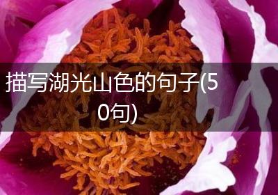 描写湖光山色的句子(50句)