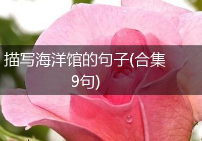 描写海洋馆的句子(合集9句)