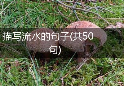 描写流水的句子(共50句)