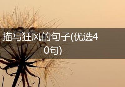 描写狂风的句子(优选40句)