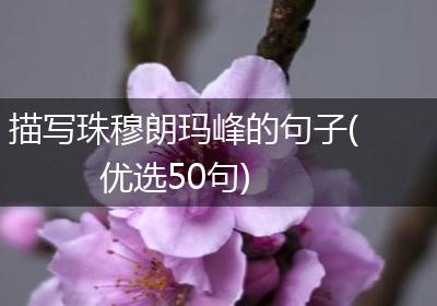 描写珠穆朗玛峰的句子(优选50句)