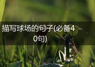 描写球场的句子(必备40句)