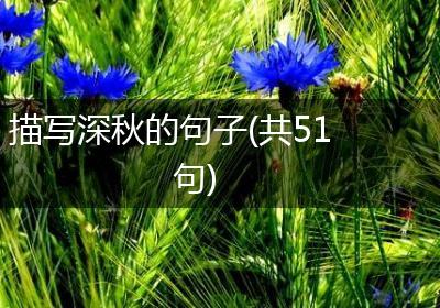 描写深秋的句子(共51句)