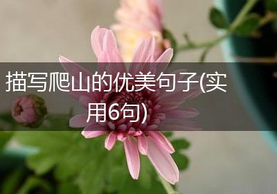 描写爬山的优美句子(实用6句)