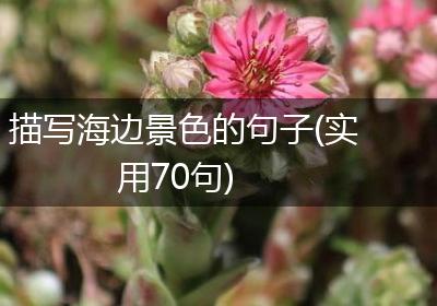 描写海边景色的句子(实用70句)
