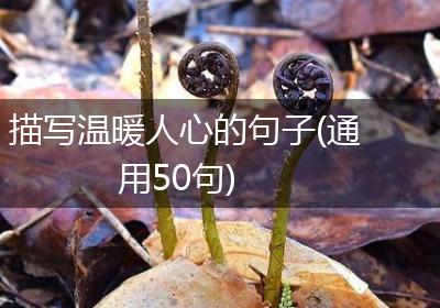 描写温暖人心的句子(通用50句)