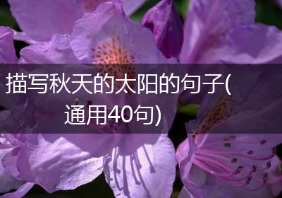 描写秋天的太阳的句子(通用40句)