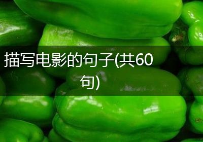 描写电影的句子(共60句)