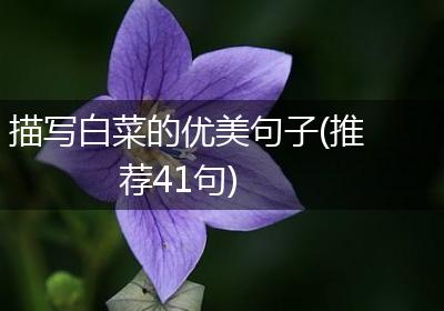 描写白菜的优美句子(推荐41句)