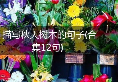 描写秋天树木的句子(合集12句)