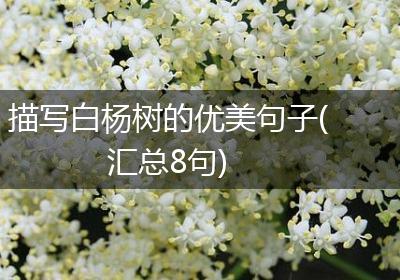 描写白杨树的优美句子(汇总8句)