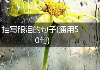 描写眼泪的句子(通用50句)