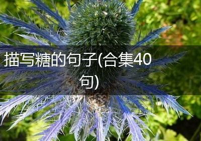 描写糖的句子(合集40句)