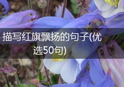 描写红旗飘扬的句子(优选50句)