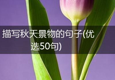 描写秋天景物的句子(优选50句)