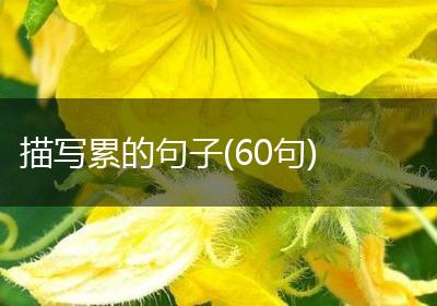 描写累的句子(60句)